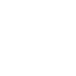 Black Ginger Logo